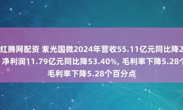 红腾网配资 紫光国微2024年营收55.11亿元同比降27.15%, 净利润11.79亿元同比降53.40%, 毛利率下降5.28个百分点