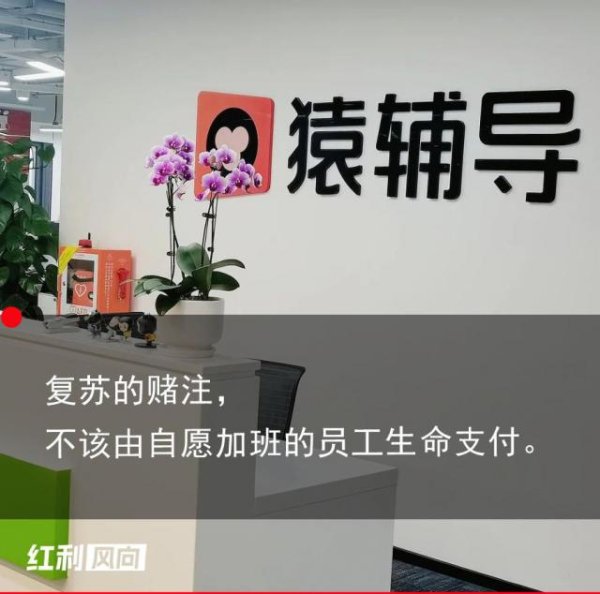 恒瑞行配资 谁是压倒猿辅导员工的最后一根稻草