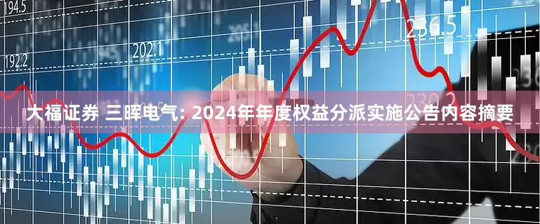 大福证券 三晖电气: 2024年年度权益分派实施公告内容摘要