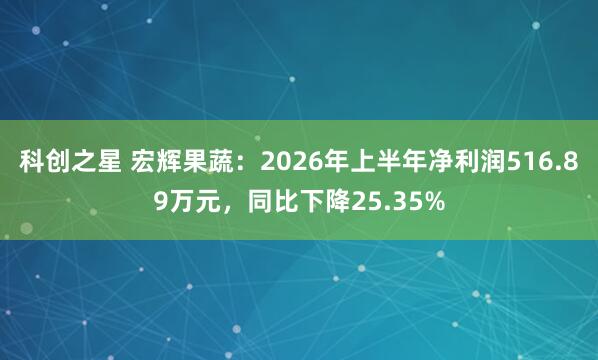 科创之星 宏辉果蔬：2026年上半年净利润516.89万元，同比下降25.35%